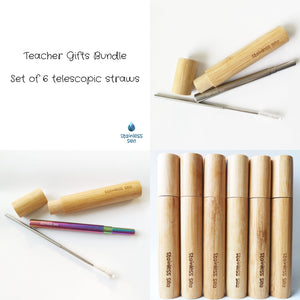 Stainless Steel Adjustable Straw Bundle
